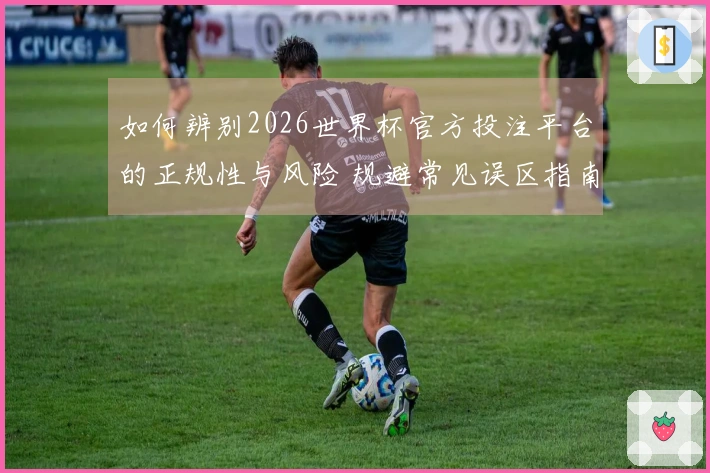 如何辨别2026世界杯官方投注平台的正规性与风险 规避常见误区指南