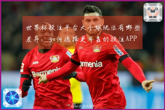 世界杯投注平台大小球玩法有哪些差异，如何选择更可靠的投注APP