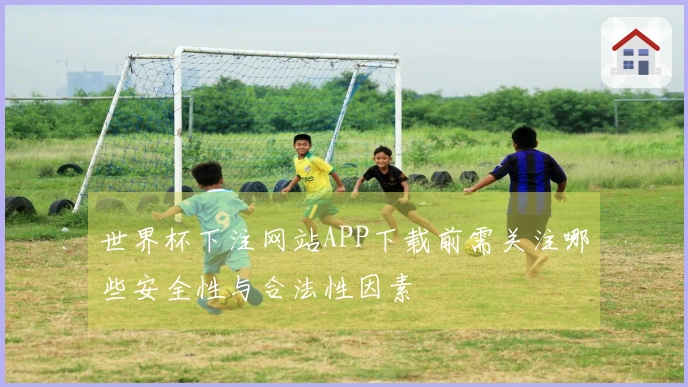 世界杯下注网站APP下载前需关注哪些安全性与合法性因素