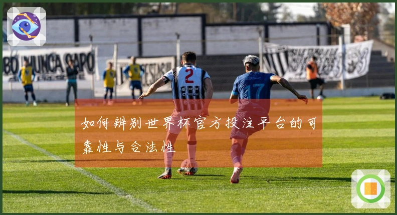 如何辨别世界杯官方投注平台的可靠性与合法性