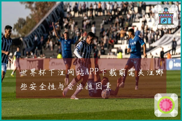 世界杯下注网站APP下载前需关注哪些安全性与合法性因素