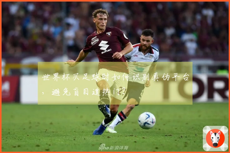 世界杯买足球时如何识别真伪平台，避免盲目追热门？