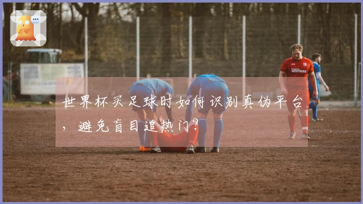 世界杯买足球时如何识别真伪平台，避免盲目追热门？